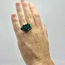 INES Dark green 1.webp