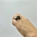 Kataleya Kaki Green (3).webp
