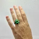 Kataleya Happy Green 2.webp