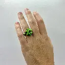 Kataleya Lemmon Green (1).webp