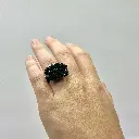 INES Black1.webp